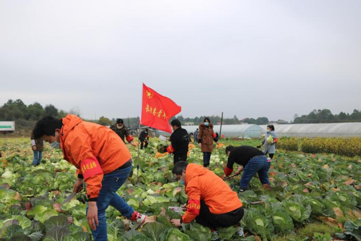 不误春光不负时 ——永润食品携同长沙县团委为菜农找销路助春耕